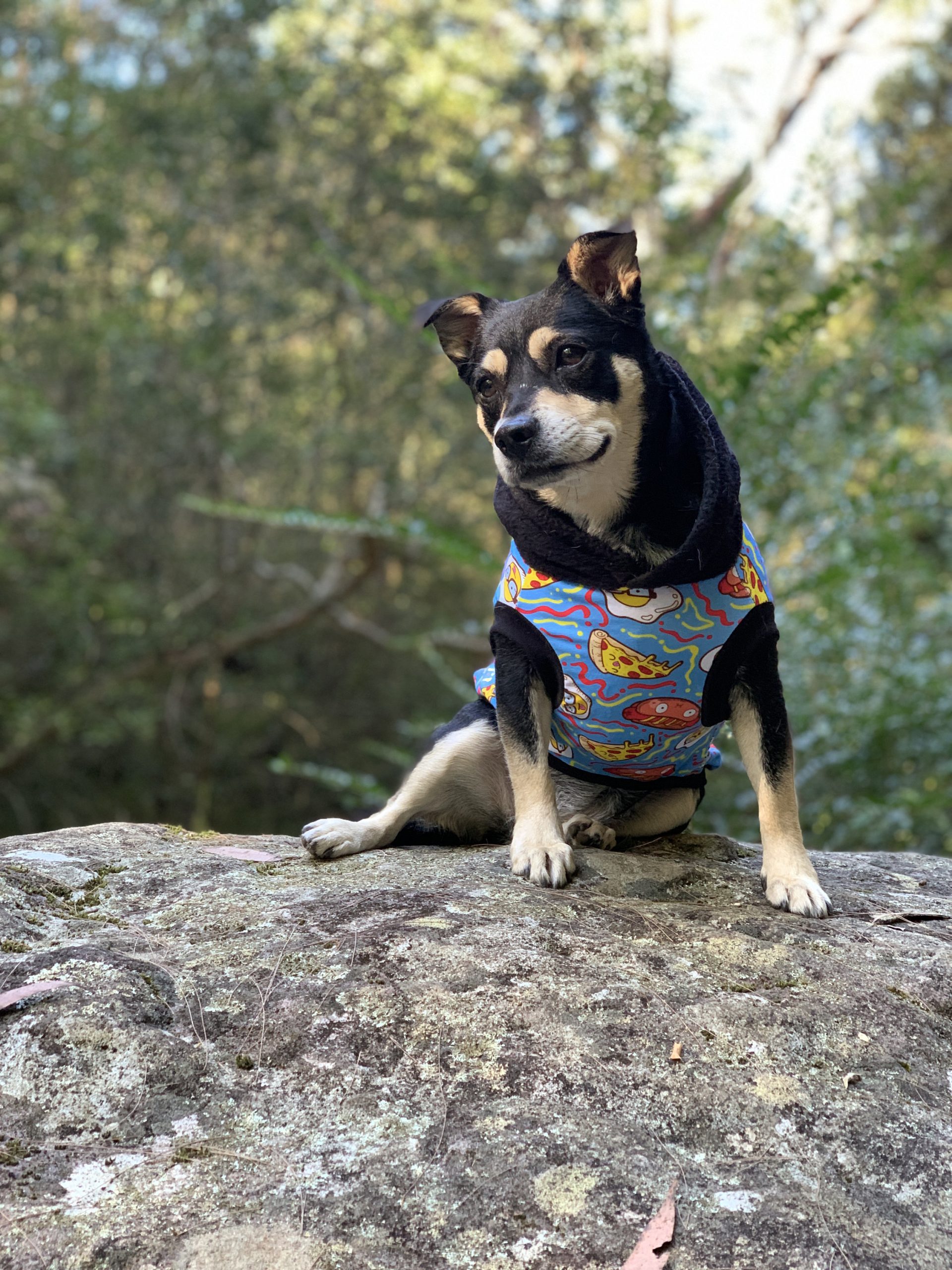 Black Paw Print Dog Hoodie - Image 5
