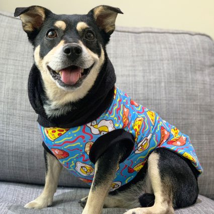 Blue Cartoon Food Print Dog Hoodie with Black Hood