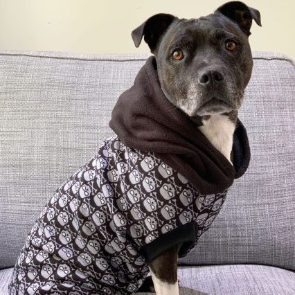 Black Owl Print Dog Hoodie