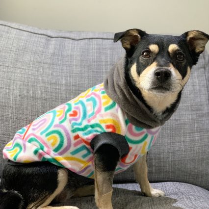 Pastel Heart Print Dog Hoodie with Gray Hood