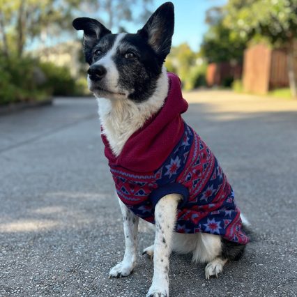 Blue Aztec Print Dog Hoodie with Burgundy Hood