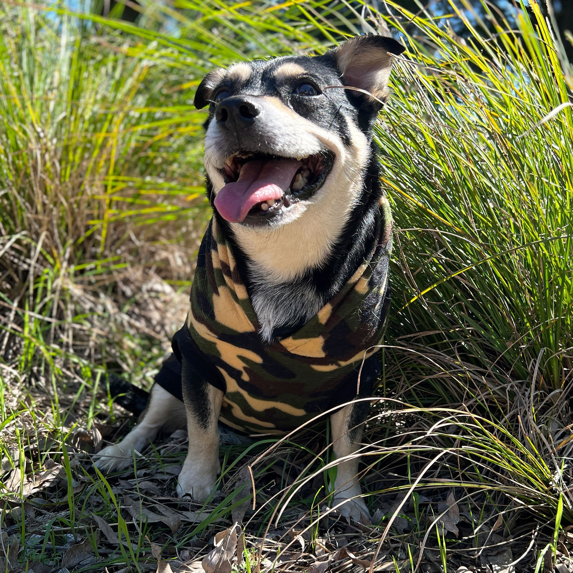 Camouflage Dog Hoodie - Image 3