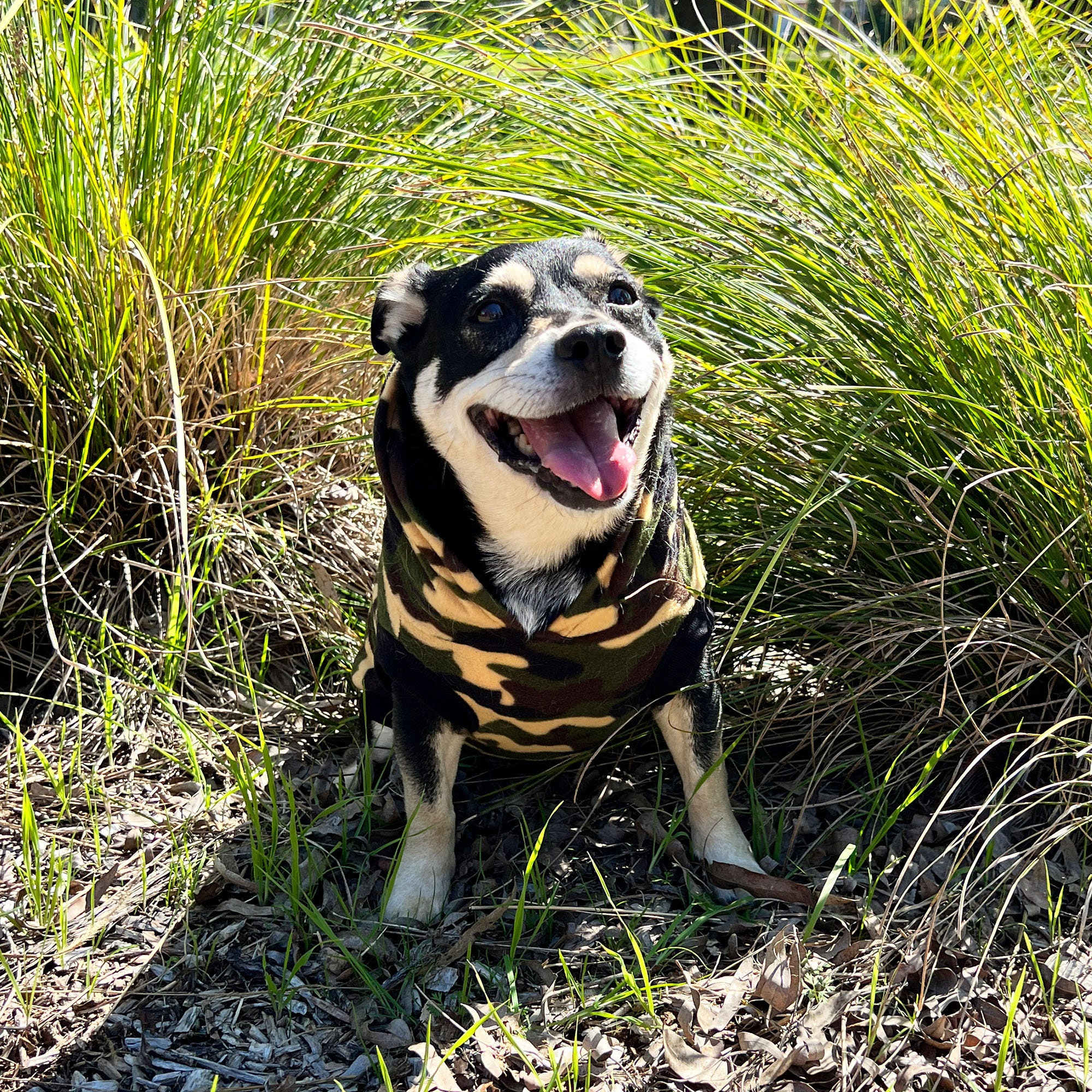 Camouflage Dog Hoodie - Image 4