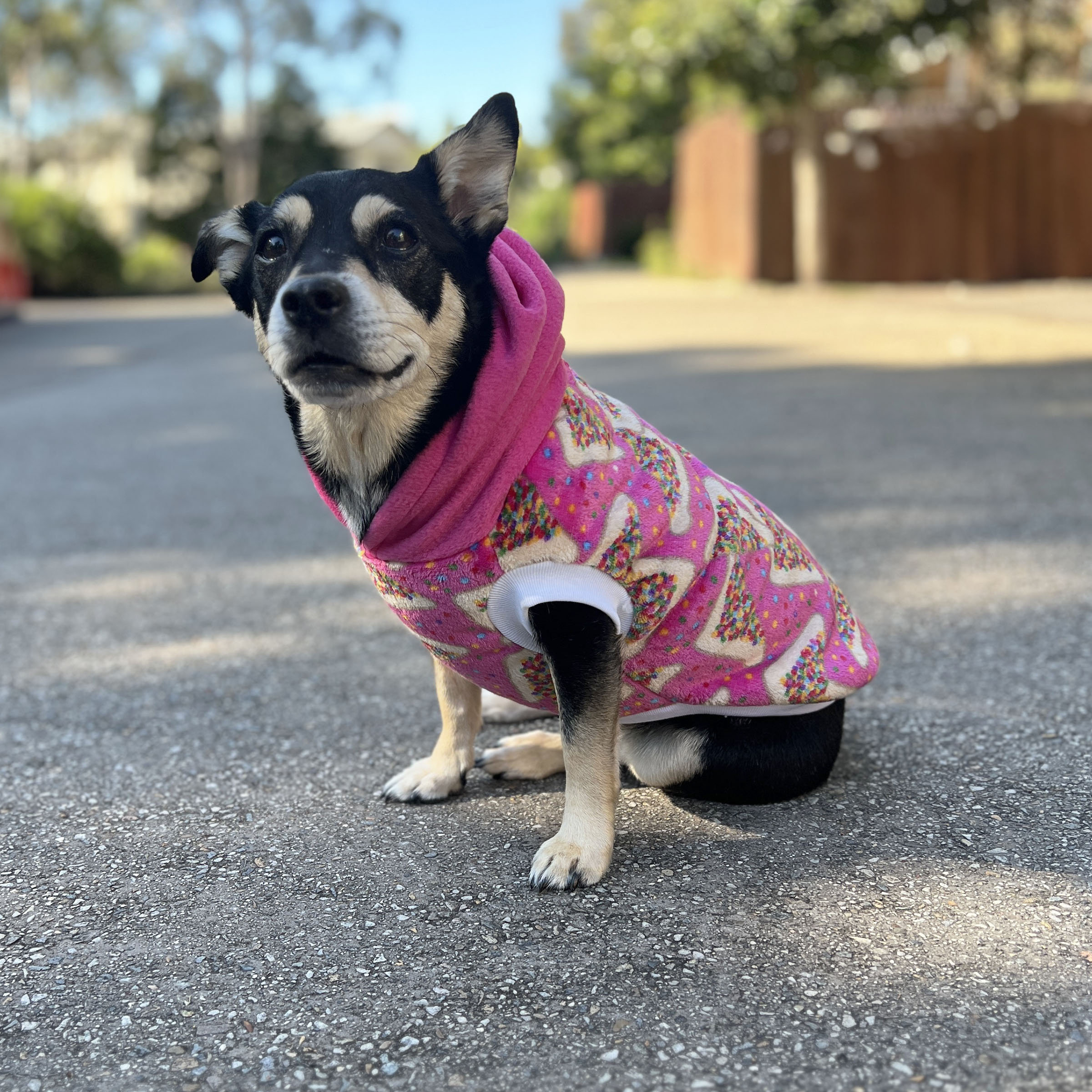 Pink Star Print Dog Hoodie