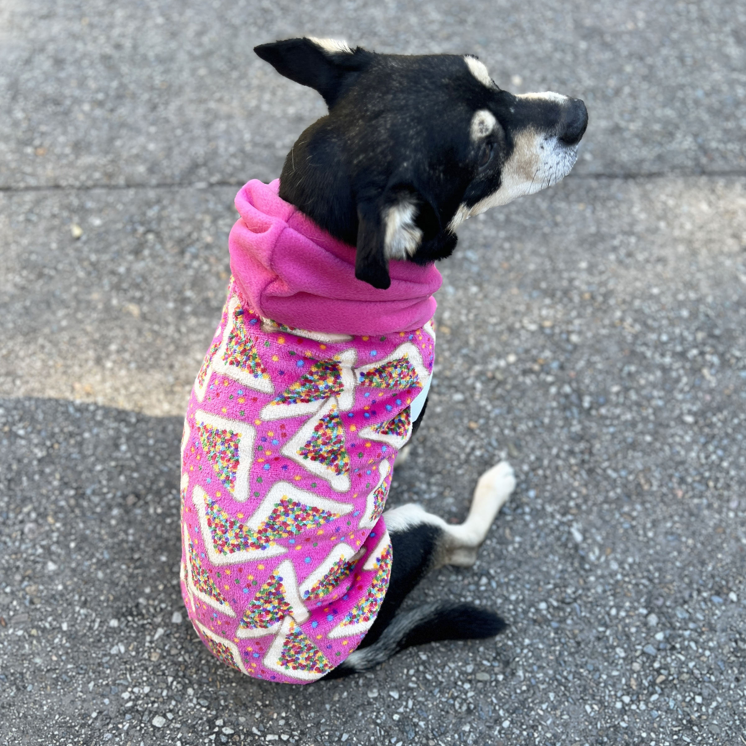 Pink Star Print Dog Hoodie - Image 3