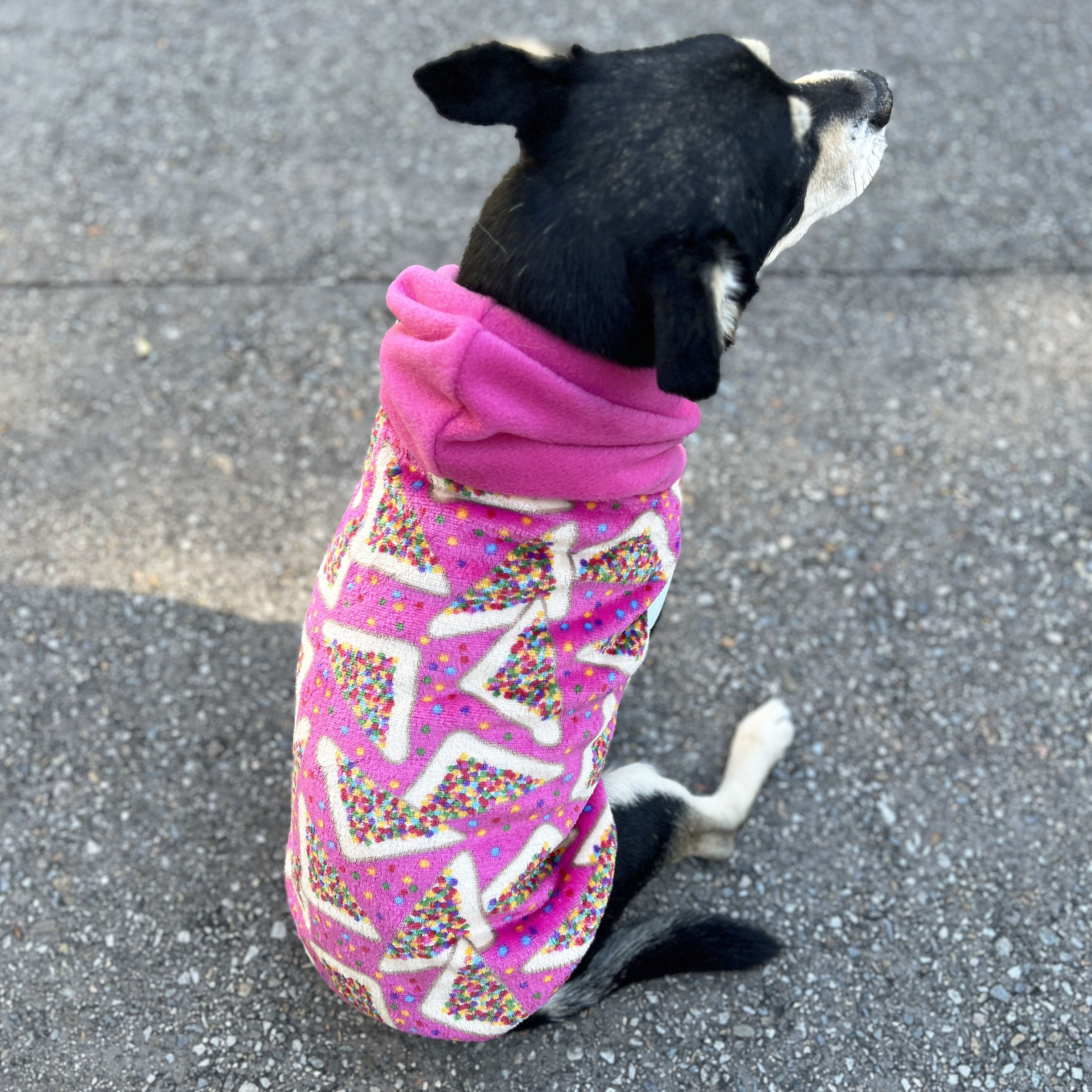 Pink Star Print Dog Hoodie - Image 5