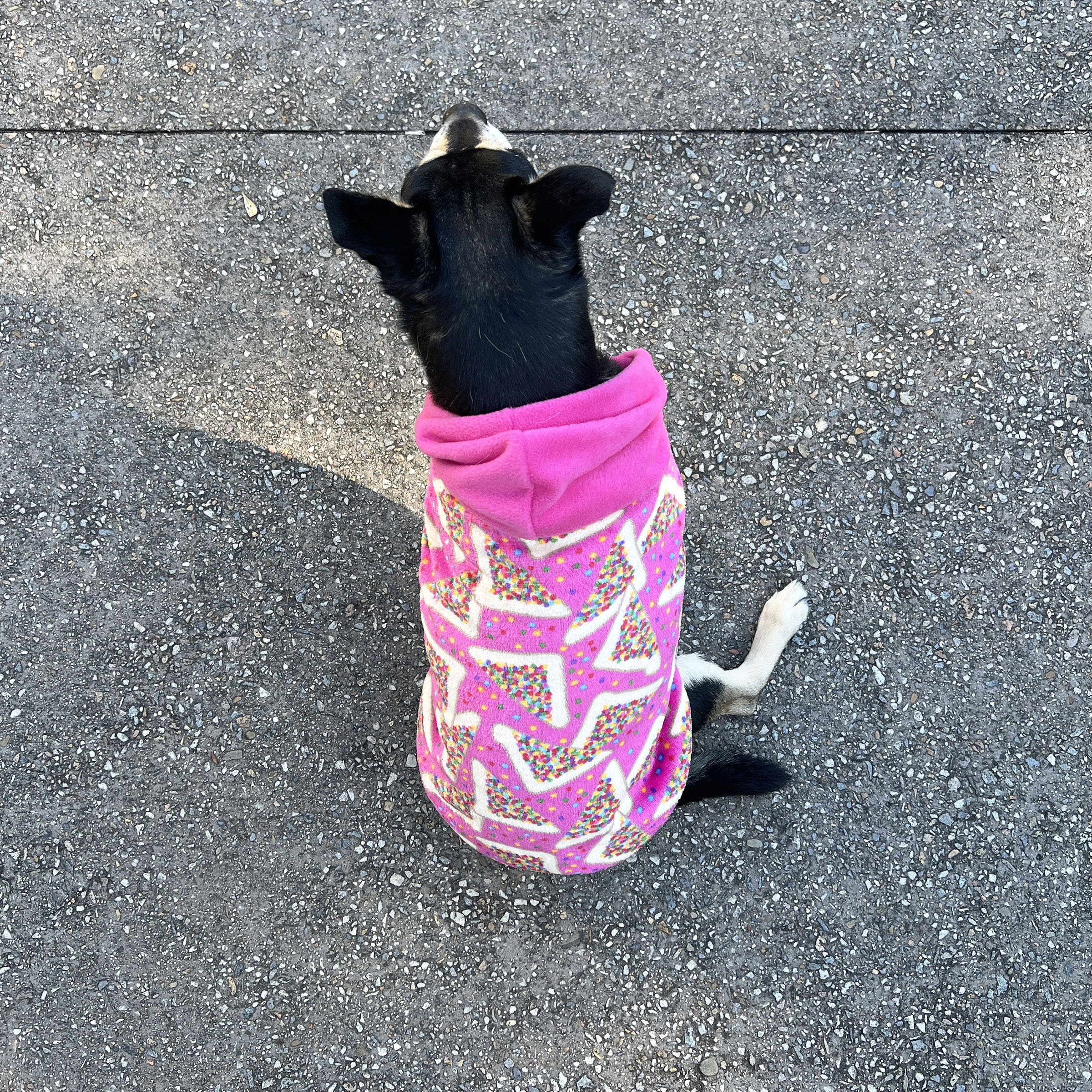 Pink Star Print Dog Hoodie - Image 4