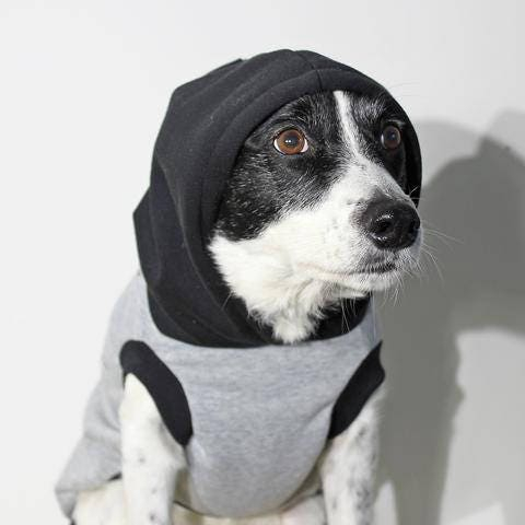 Gray Dog Hoodie with Black Hood - Image 3
