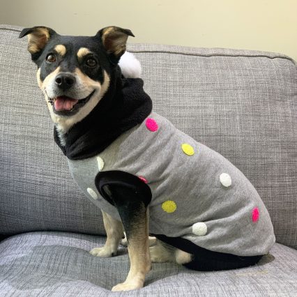Gray Polka Dot Dog Hoodie with Black Hood