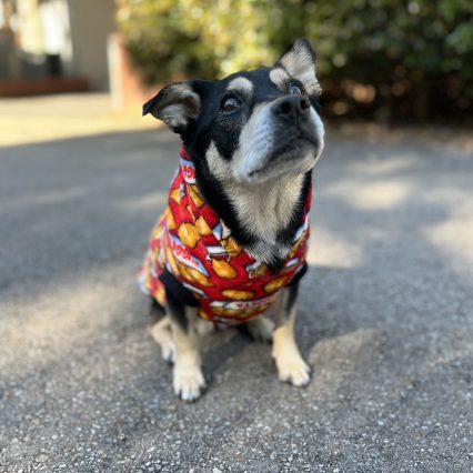 Red Fast Food Print Dog Hoodie