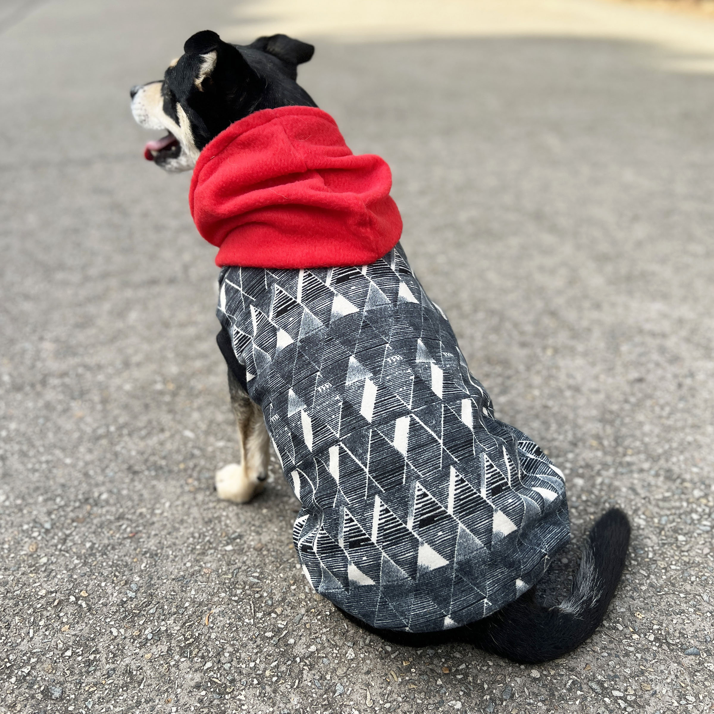 Black Geometric Dog Hoodie with Red Hood - Image 2