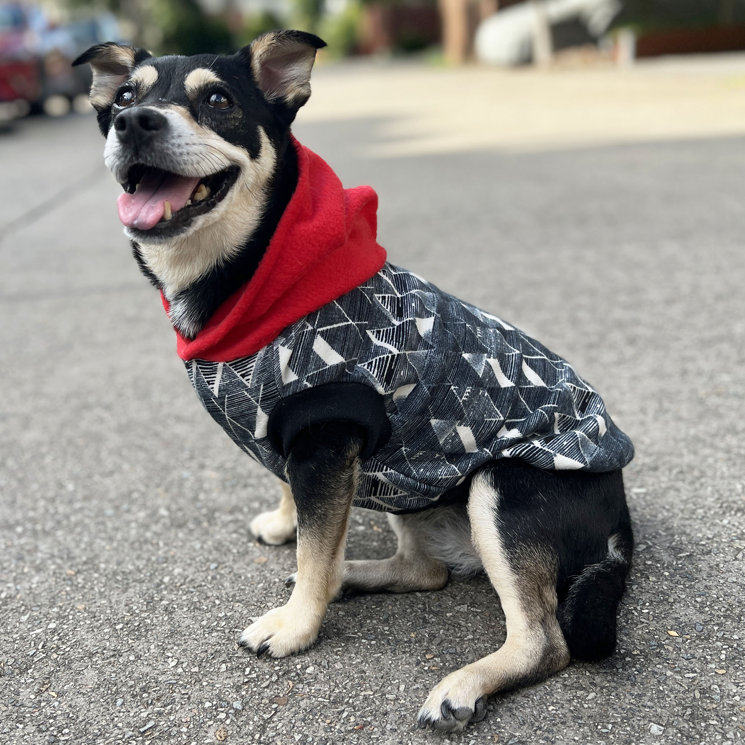 Black Geometric Dog Hoodie with Red Hood - Image 3