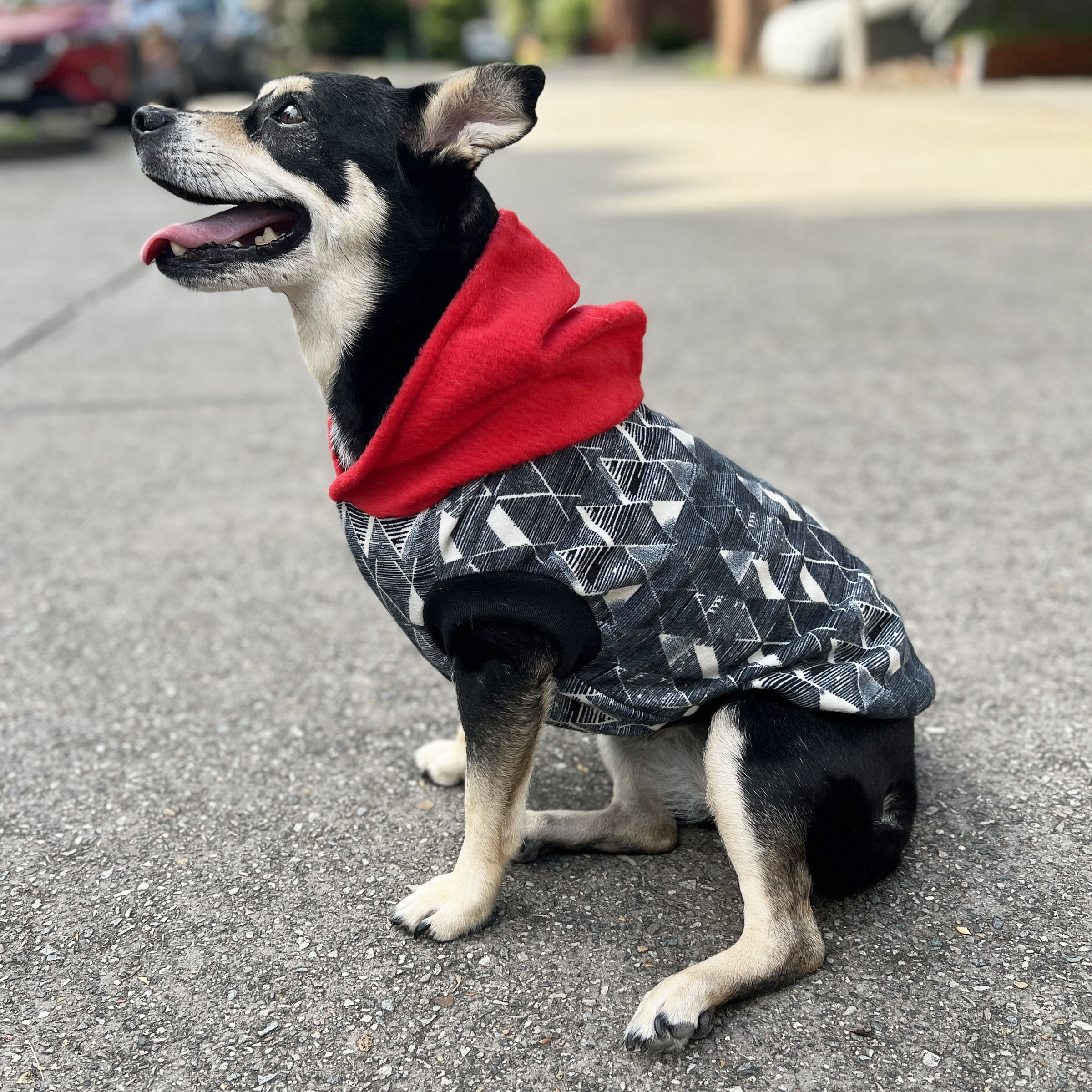 Black Geometric Dog Hoodie with Red Hood - Image 4