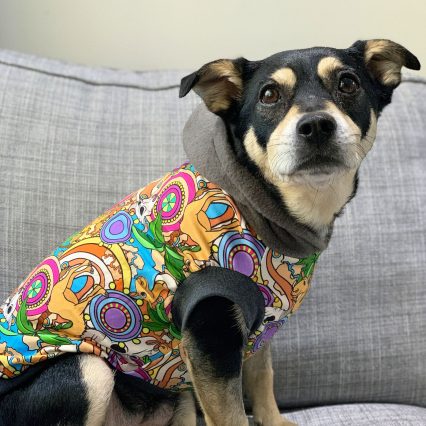 Yellow Floral Mandala Dog Hoodie with Gray Hood