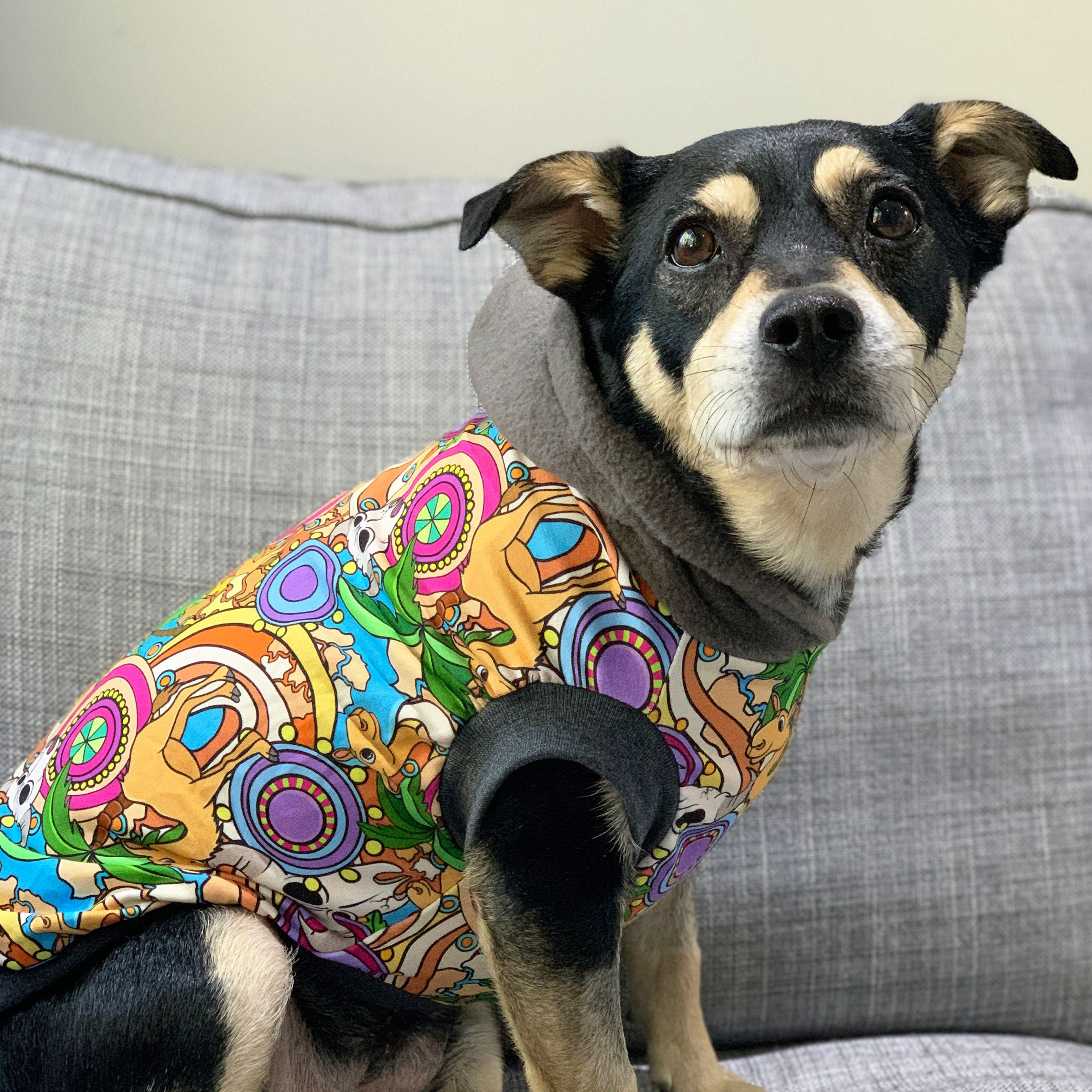 Yellow Floral Mandala Dog Hoodie with Gray Hood