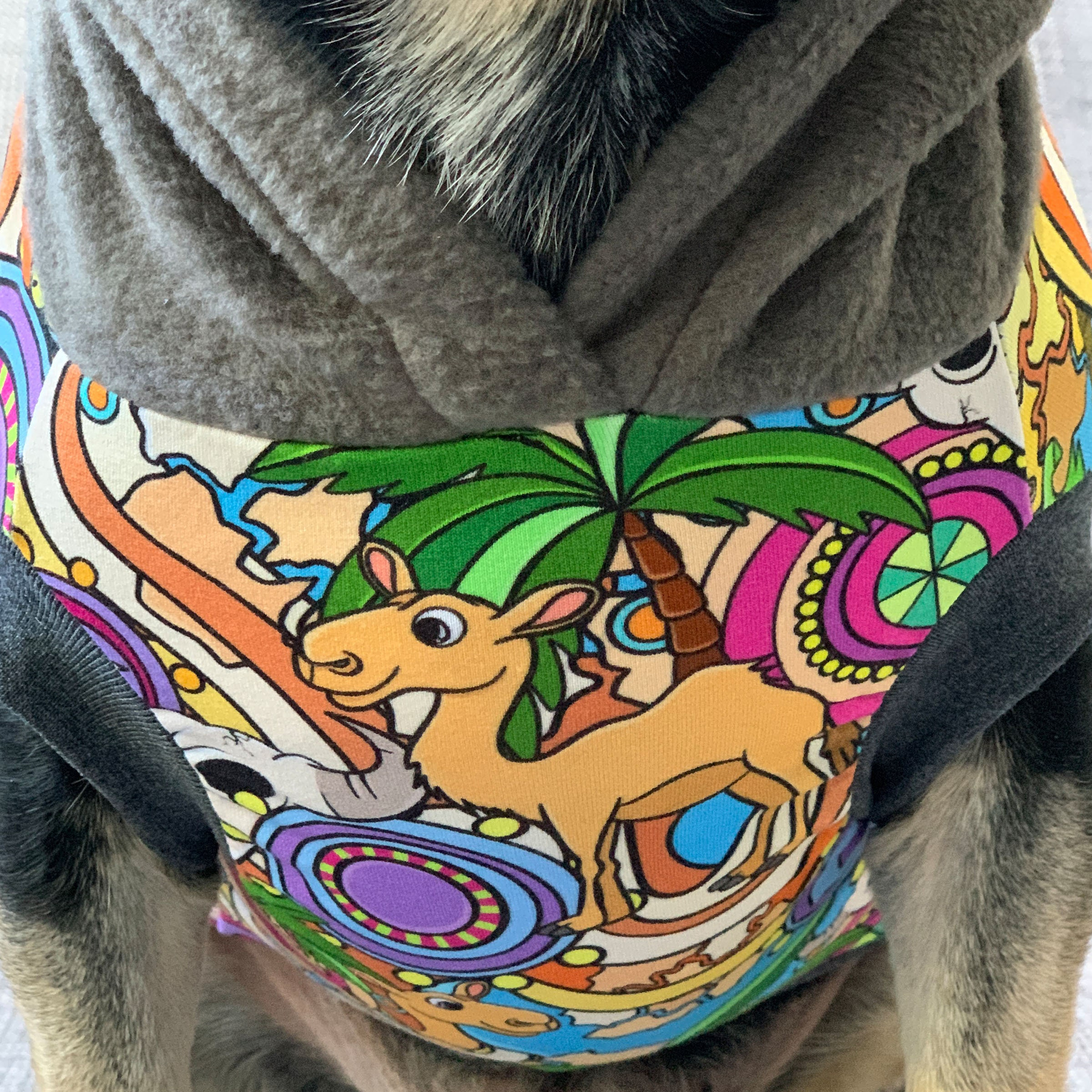 Yellow Floral Mandala Dog Hoodie with Gray Hood - Image 2