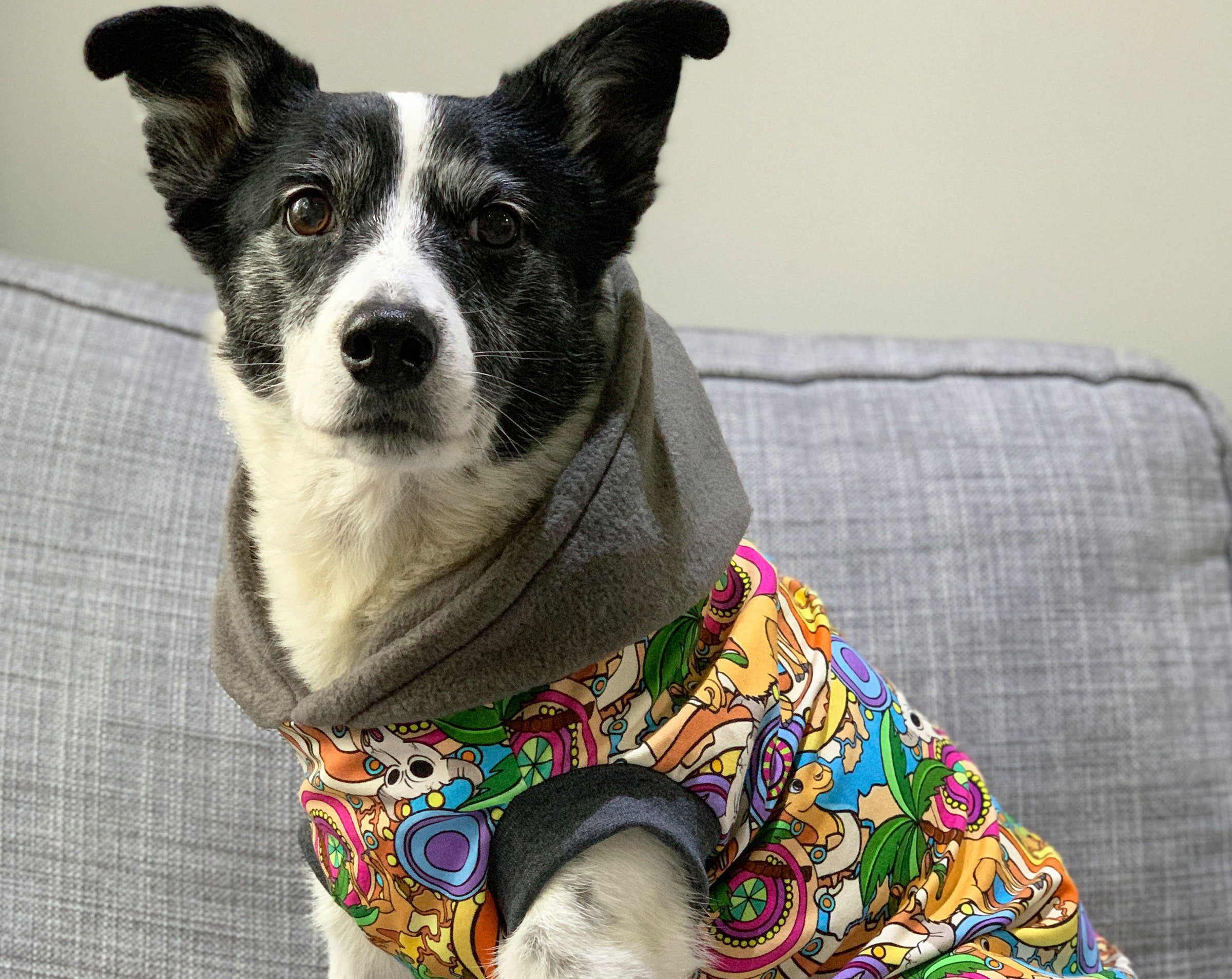 Yellow Floral Mandala Dog Hoodie with Gray Hood - Image 3