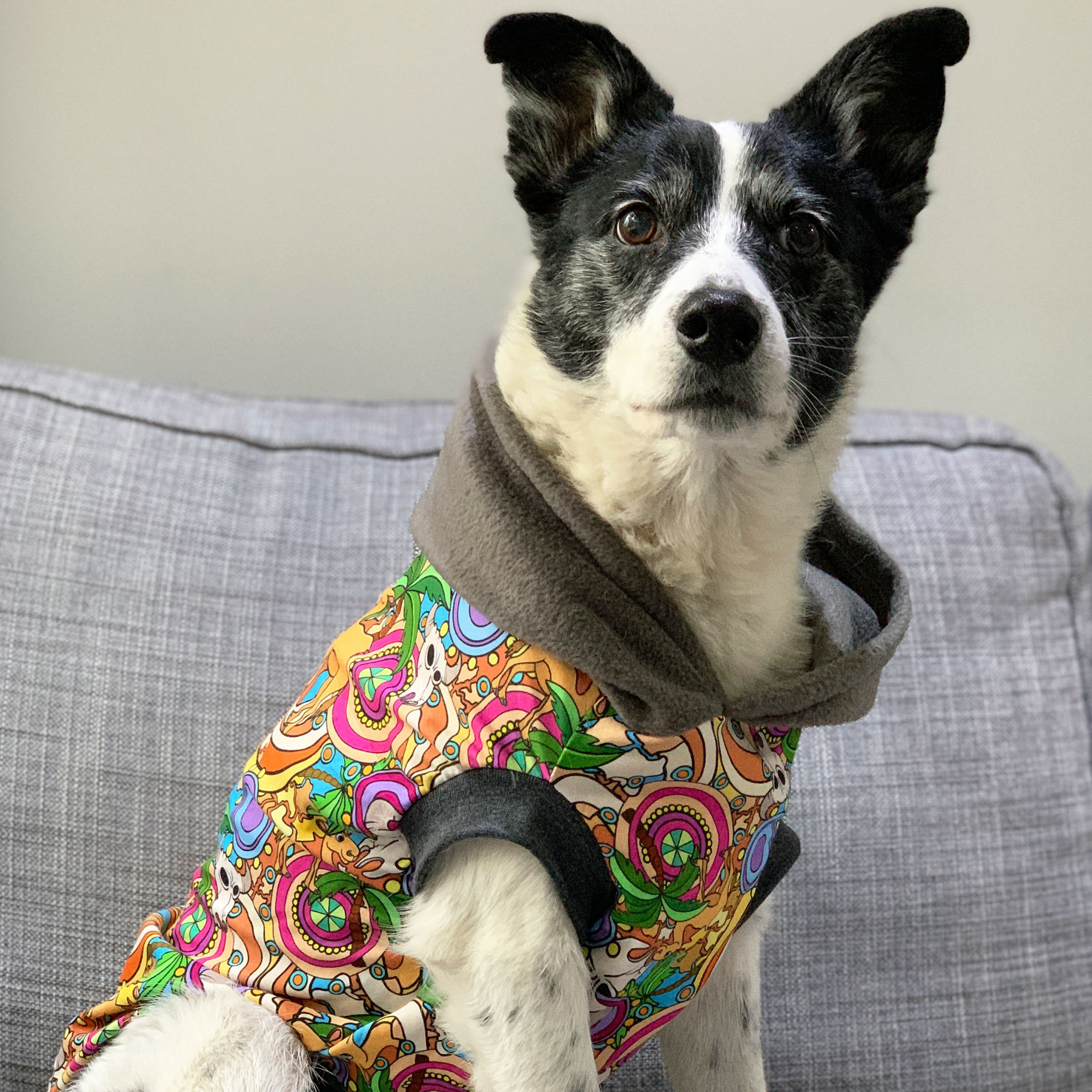 Yellow Floral Mandala Dog Hoodie with Gray Hood - Image 4
