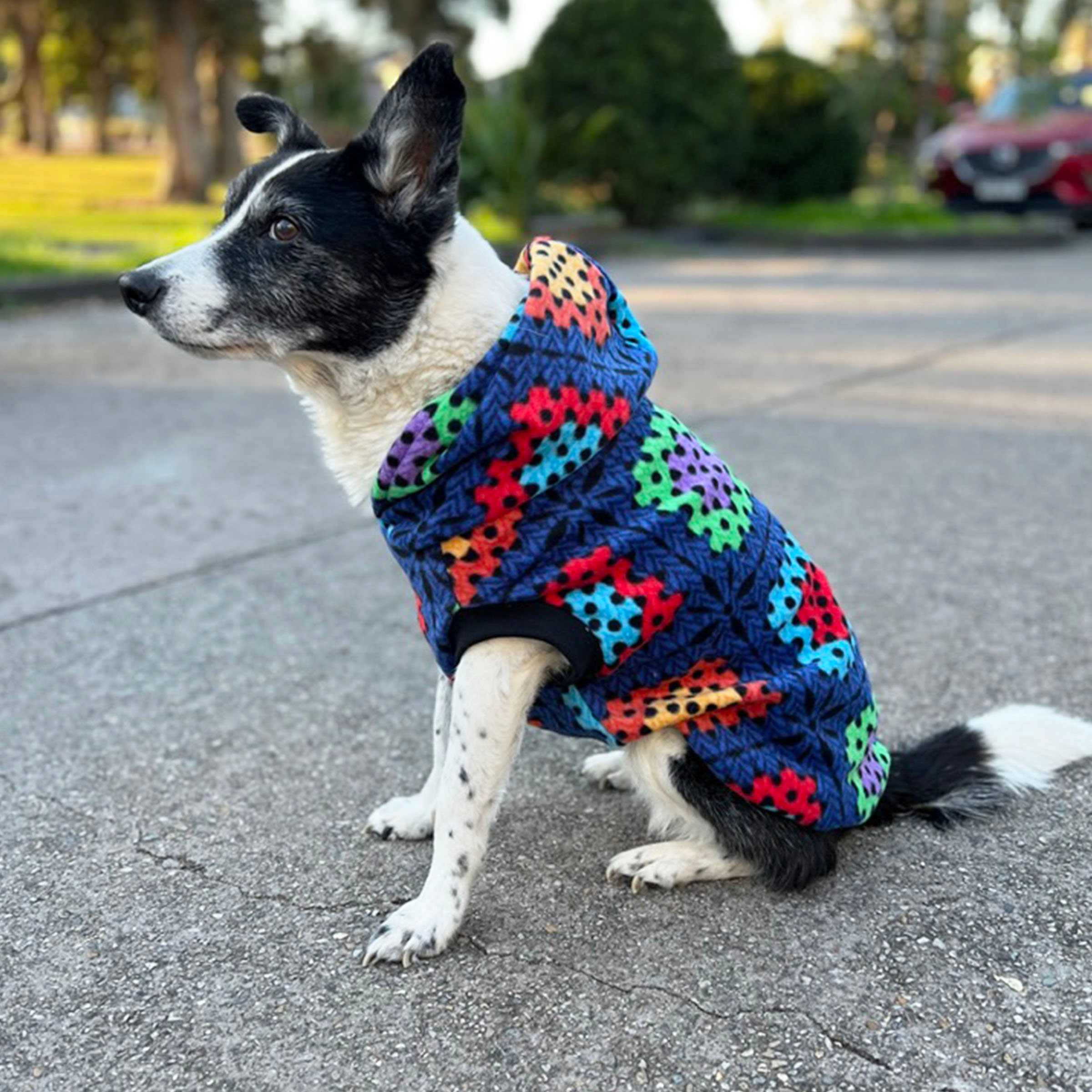 Colorful Crochet Print Dog Hoodie - Image 4