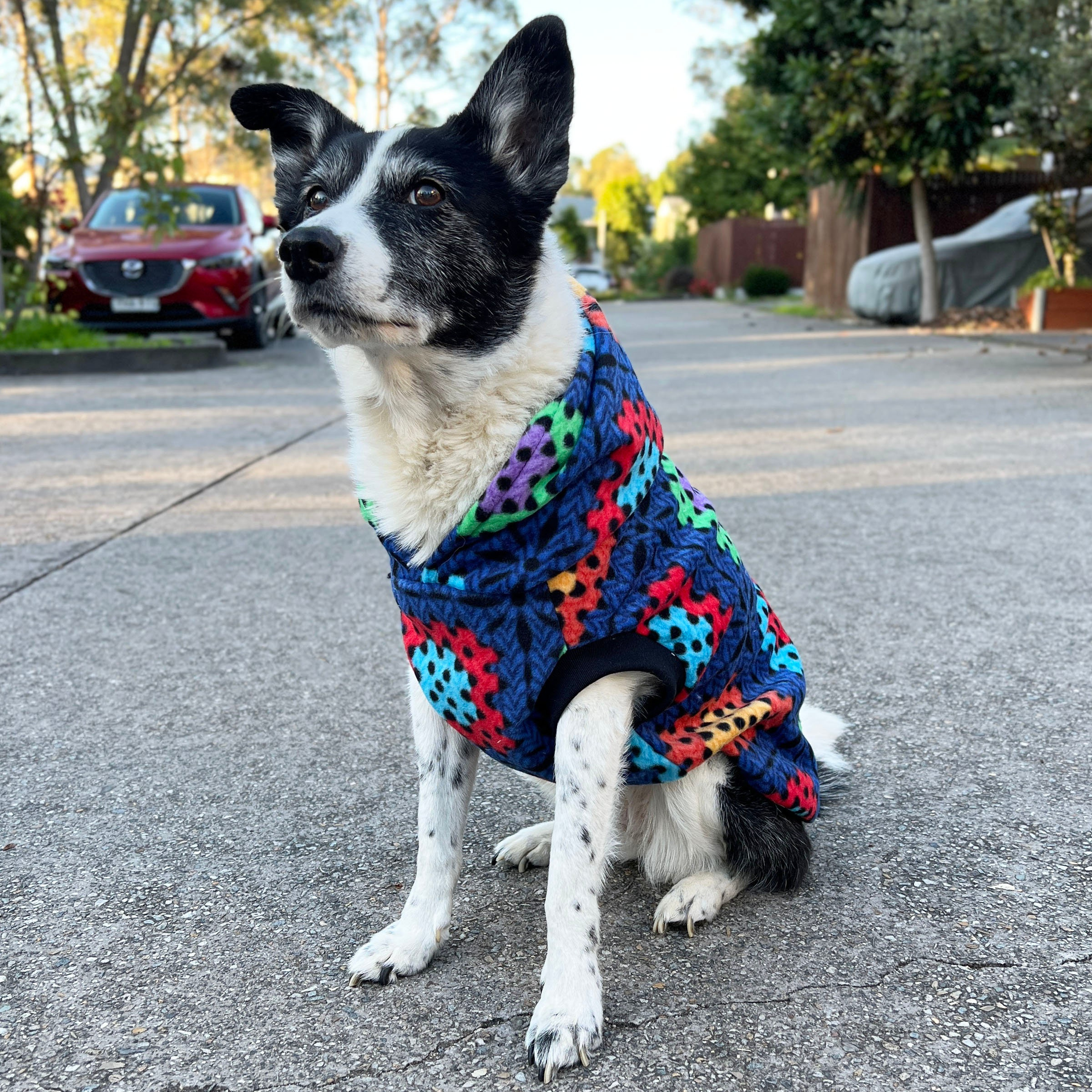 Colorful Crochet Print Dog Hoodie - Image 2