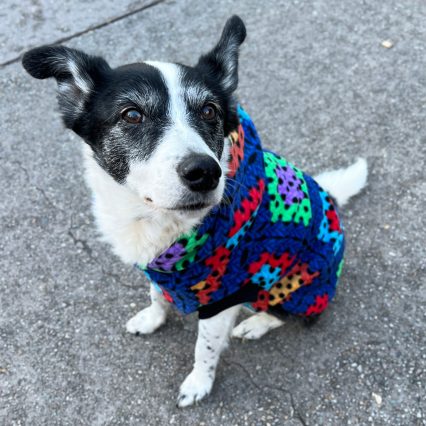 Colorful Crochet Print Dog Hoodie