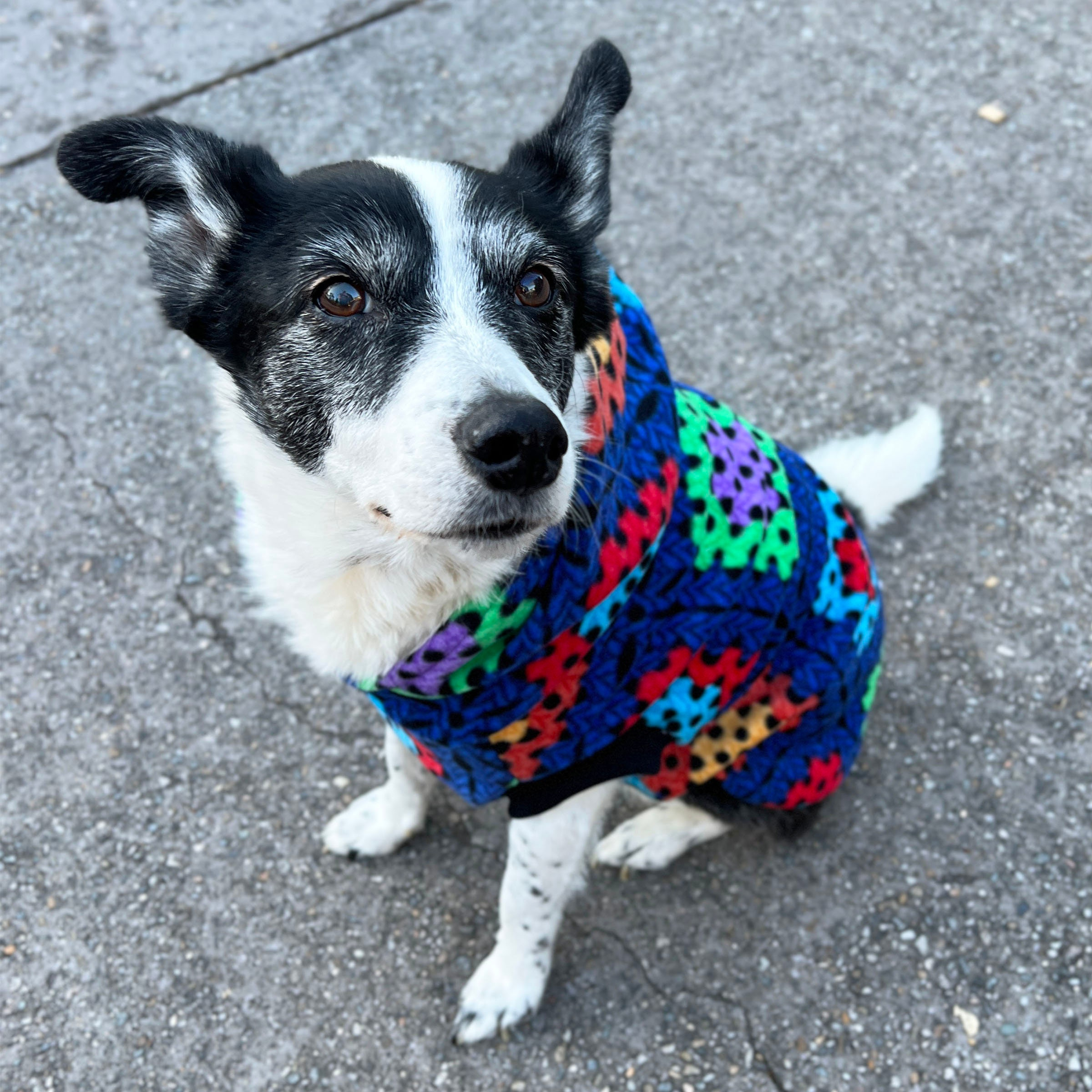 Colorful Crochet Print Dog Hoodie