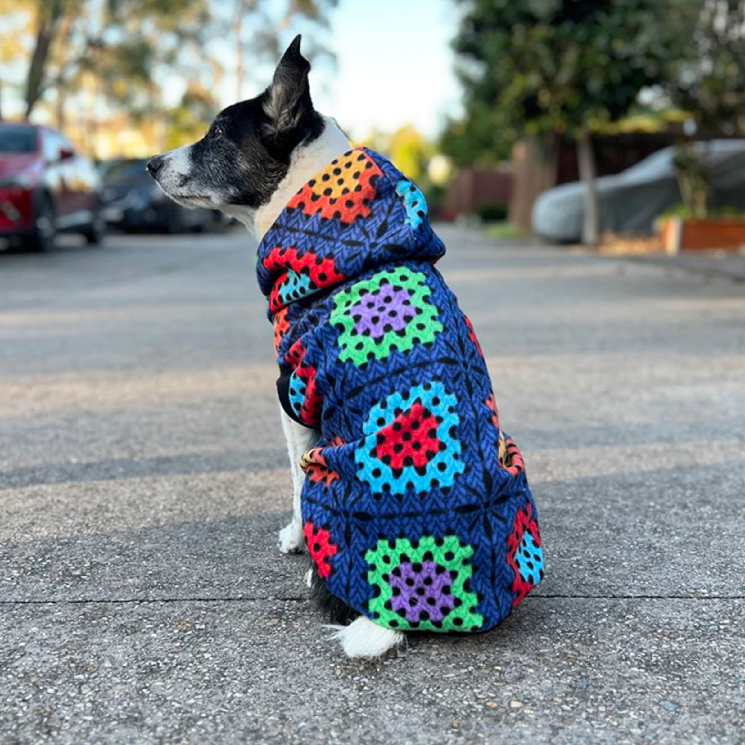 Colorful Crochet Print Dog Hoodie - Image 3