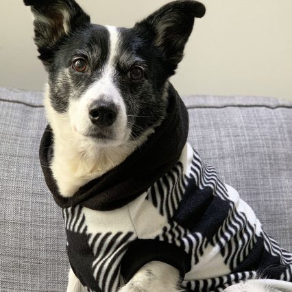 Black and White Plaid Dog Hoodie
