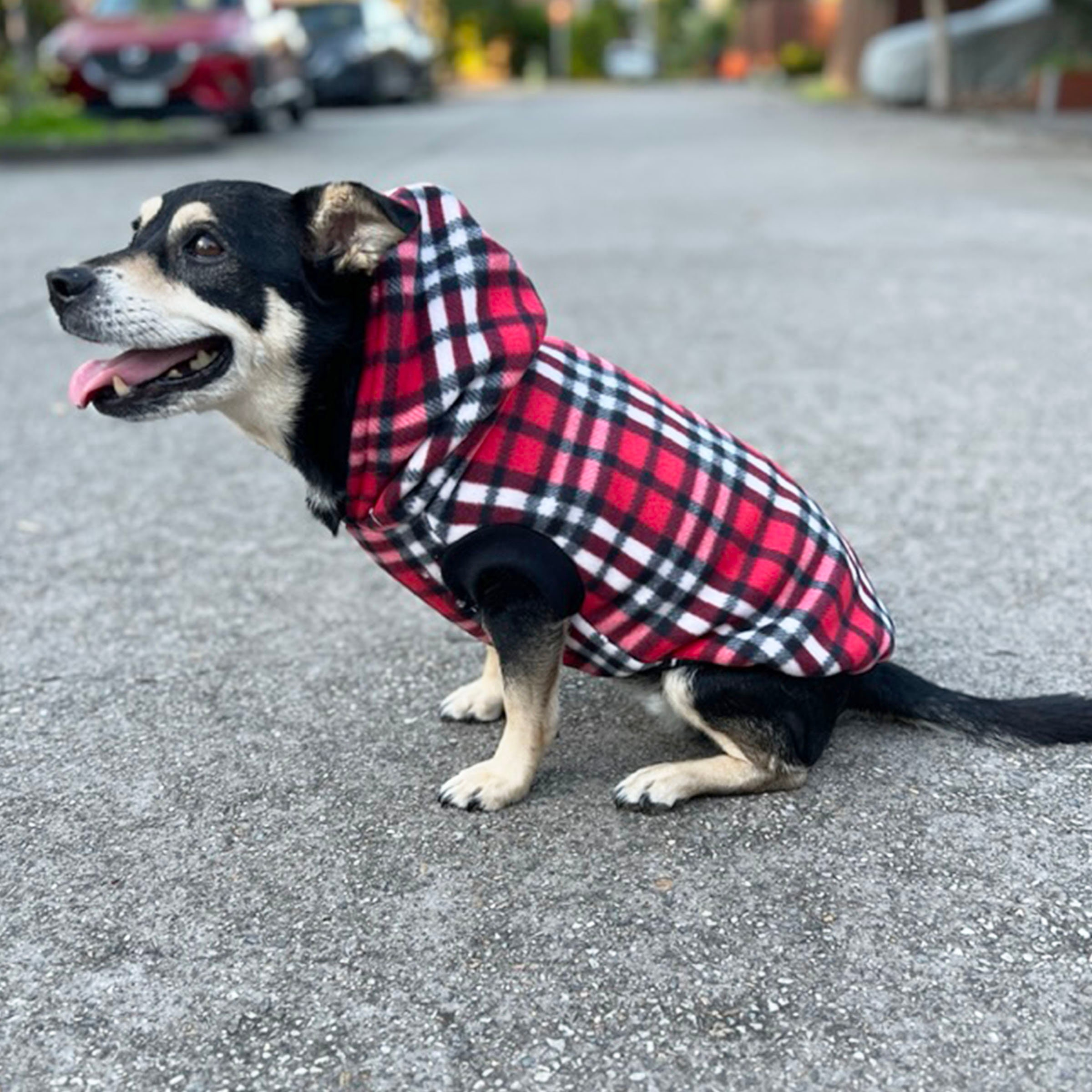 Red Plaid Dog Hoodie - Image 2