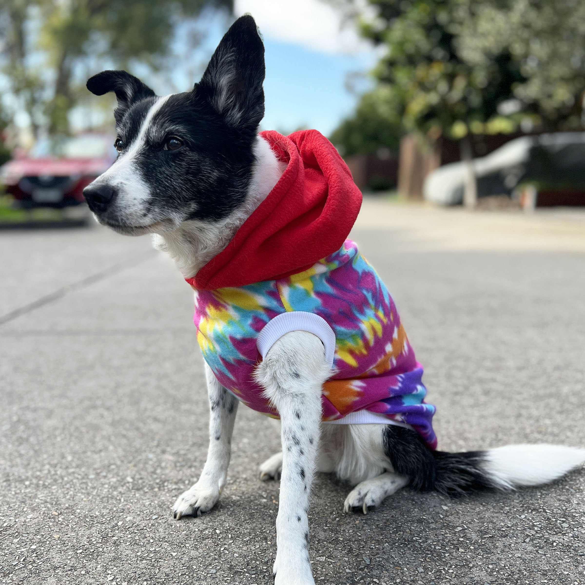 Rainbow Tie-Dye Dog Hoodie with Red Hood - Image 2