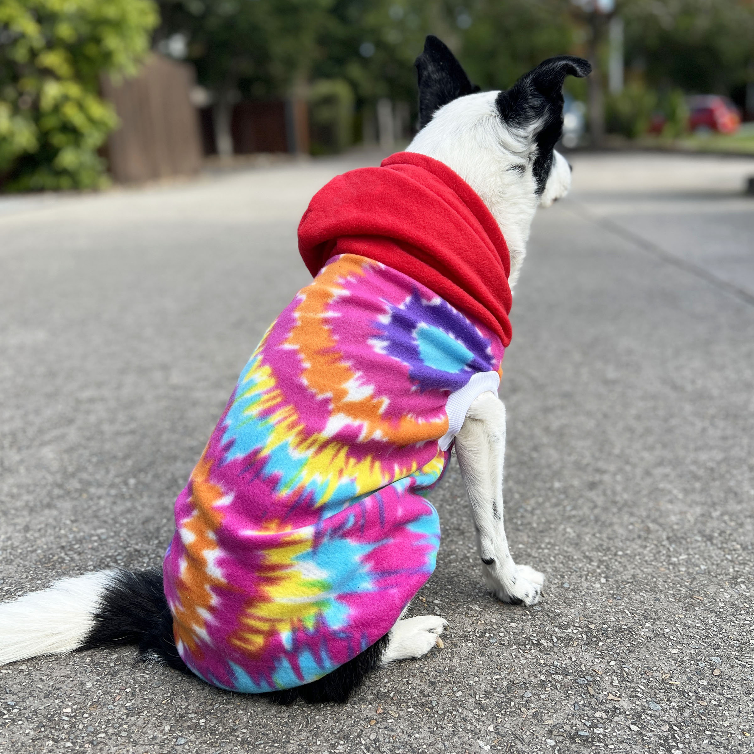 Rainbow Tie-Dye Dog Hoodie with Red Hood - Image 3