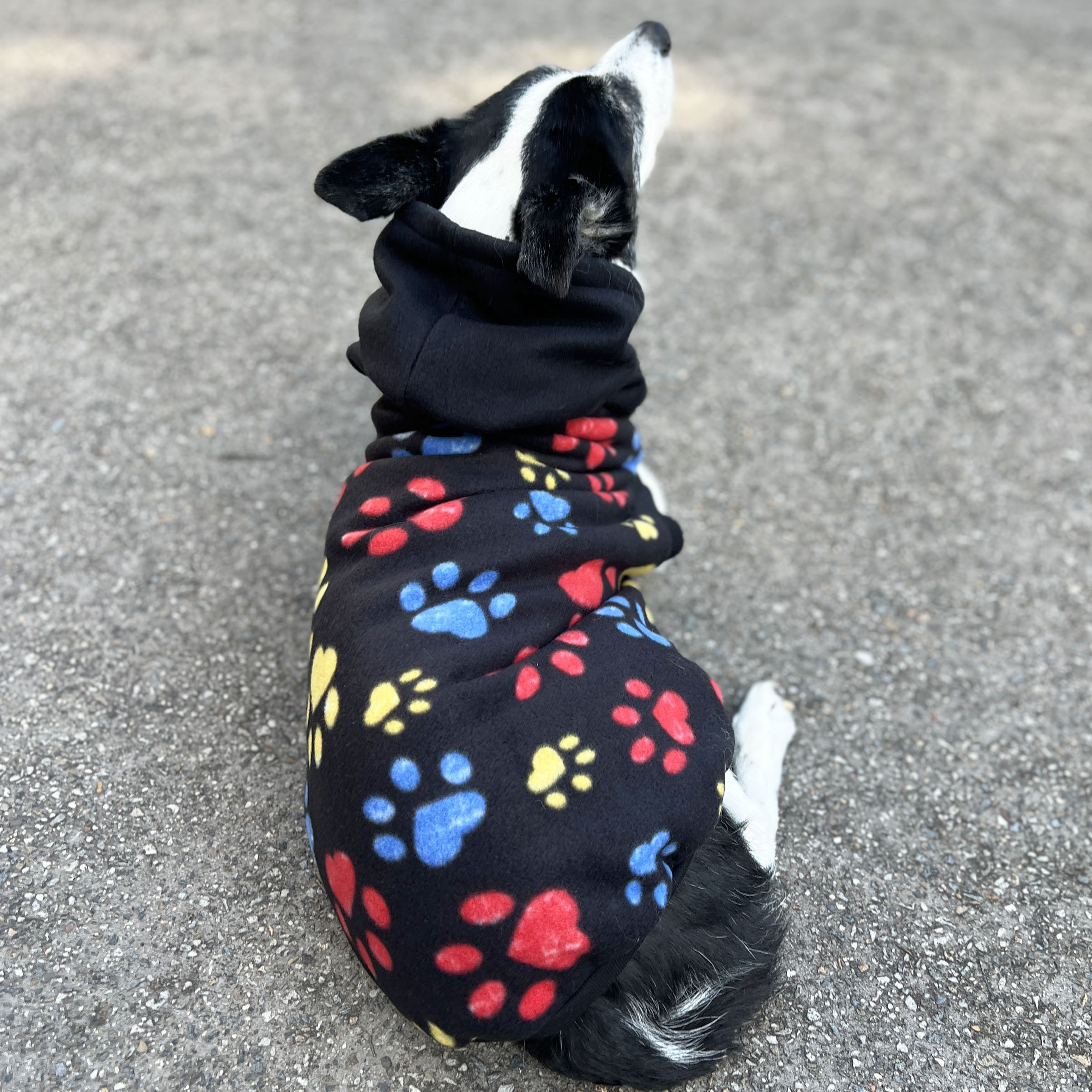 Black Paw Print Dog Hoodie - Image 2